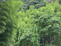 -黄公望隐居地