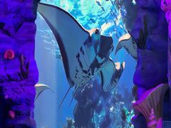 -海合安武汉极地海洋公园