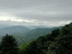 -九龙江国家森林公园