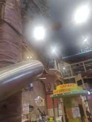 -卡通尼·Safari非洲探索乐园·生日会(金桥国际商业广场店)