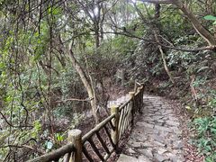 -梧桐山风景名胜区