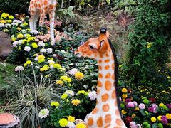 -上海共青森林公园