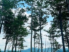 -凤岗南门山森林公园