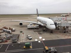 -新加坡航空公司(ION)