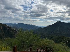 -大岭沟猕猴桃谷风景区