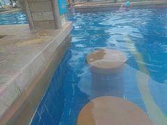 -亚龙湾喜来登·美景台大堂吧