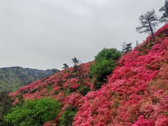 -木兰云雾山