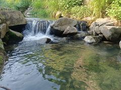 -小洞天柴火土菜馆