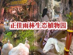 -正佳雨林生态植物园