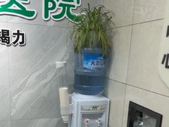 -半岛宠物医院24小时(白果林店)