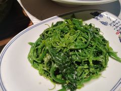 -樽宴酒楼·地道川菜·品质宴请