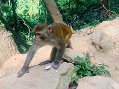 -黔灵山公园