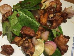 -云海肴·汽锅鸡·云南菜(天津国金汇店)