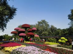 -沈阳植物园