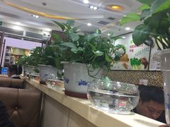 大堂-杨国福麻辣烫(龙阳广场店)