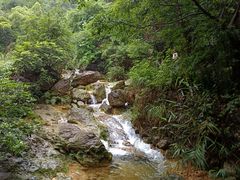 -南海湾森林生态园