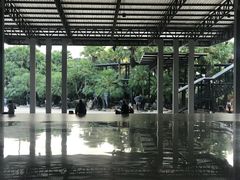 -东芭乐园