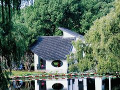 -上海共青森林公园