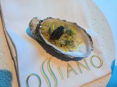 -亚特兰蒂斯•OSSIANO奥西亚诺海底餐厅