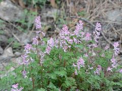 -清远鱼水旅游风景度假区