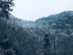 -九峰山