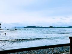 -Wang Sai Seafood