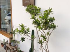 -AHAVA·Fang Baking Studio