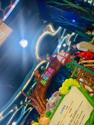 -维佳童话镇演出现场(徐东店)