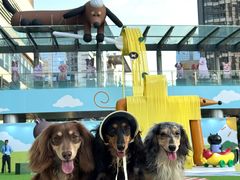 -深圳来福士广场