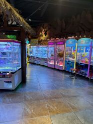 -卡通尼·Safari非洲探索乐园·生日会(金桥国际商业广场店)