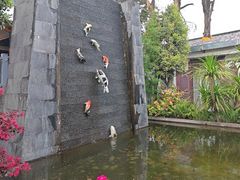 -瑞丰园庭院餐厅·白族传统家常菜