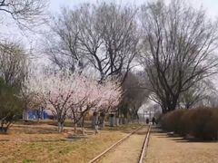 -永定河休闲森林公园