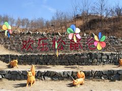 -欢乐松鼠谷
