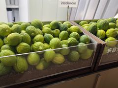 -introlemons(北京西单更新场店)