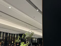 -金春禧(世茂国际广场店)