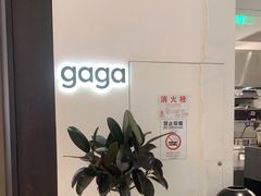 -gaga(深圳南山益田假日广场店)