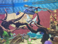 -烟台海昌鲸鲨海洋公园