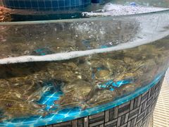 水产区-蓝珊甄选海鲜自助·火锅大排档(近阿那亚店)