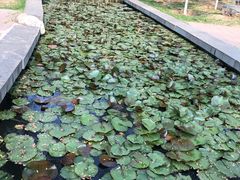-济南植物园