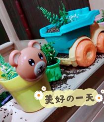 -绿野星空儿童乐园