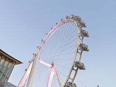 -金鸡湖景区