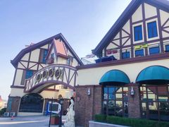 -第35届青岛国际啤酒节