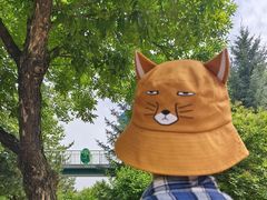 -青藏高原野生动物园