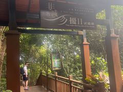 -亚龙湾热带天堂森林公园