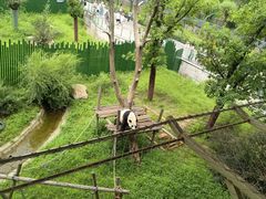 -沈阳森林动物园