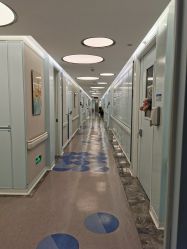 -杭州贝瑞斯美华妇儿医院·早孕·产检·儿科