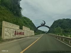 -东白山