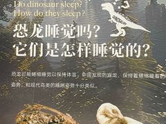-遇见博物馆(遇见海洋沉浸式奇幻光影展)