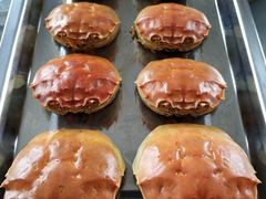 -乡乐园蟹庄·阳澄湖农家乐