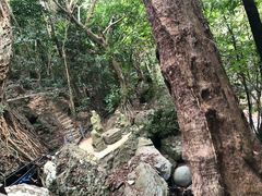 -七仙岭温泉国家森林公园